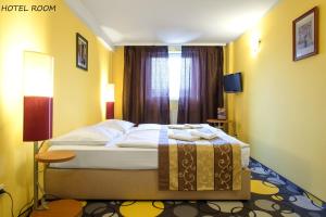 Single Room room in Hotel Otakar