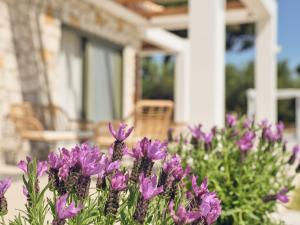 Gerakas Luxury Villas