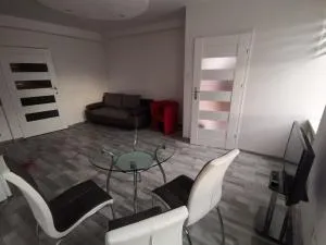 Apartament wygodny S4 - 卡利什