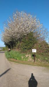 Maisons de vacances 1 of 3 superb, comfortable gites with pool in the beautiful Mayenne countryside. : photos des chambres