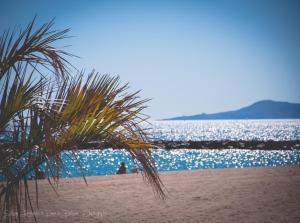 Hotels Logis Hotel Restaurant Mar I Sol : photos des chambres