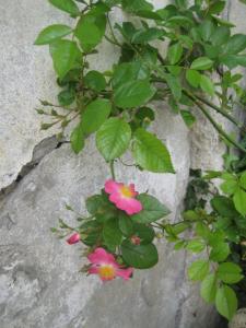 B&B / Chambres d'hotes Grand Argence : photos des chambres