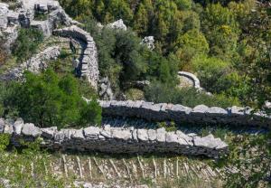Mousafir Ontas Zagori Greece