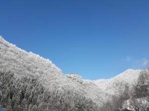Casă de vacanţă ,,La Vălucu"