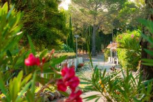 Complexes hoteliers VTF Le Castelet : photos des chambres