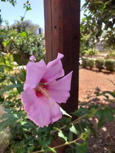 Il Lentischio holiday home img76