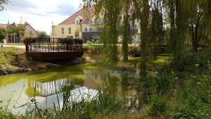 Maisons de vacances Holiday home Aqueducienne : photos des chambres