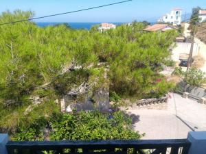 Pefka Armenistis Ikaria Greece