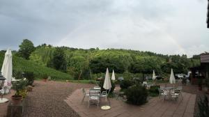 Wein Lodge Durbach - Schlossblick