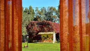 Agriturismo Monte Majore img32