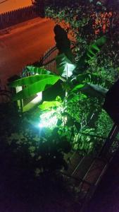 Miskos Guest House