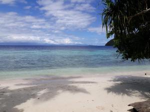 Turtle Dive Homestay