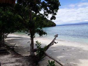 Turtle Dive Homestay