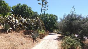 Traquility at Villa Fonte Coberta