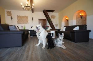 Ferienhaus Villa Romantica large holiday home for up to 12 people, dogs welcome Deudesfeld Deutschland