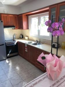 Citrus Apartments Epirus Greece