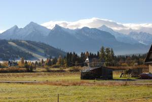 Domek Soltysowka Jurgów Polska