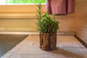 Camping Danica Cottage Stan