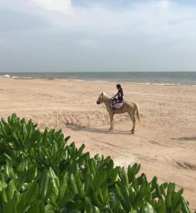 Rain condo ChaAm HuaHin by AY B311