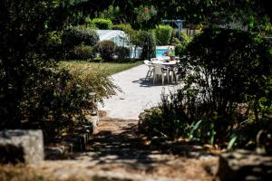 Maisons de vacances Maison de caractere au coeur du Tarn : photos des chambres