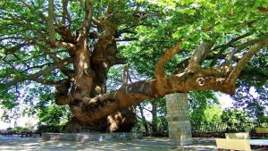 Tsagarada Stone House 1898 Pelion Greece