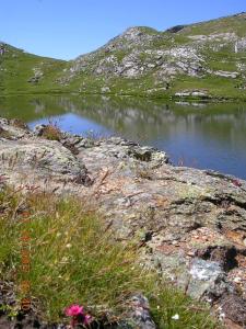 Appartements Apartment on the ground floor in Le Chazelet facing the Meije & its glacier : photos des chambres