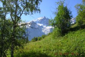 Appartements Le Serre Grau studioLarge studio at the gateway to the Ecrins National Park : photos des chambres