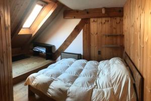 Appartements Boreales - spacious duplex - in La Grave-La Meije heart : photos des chambres