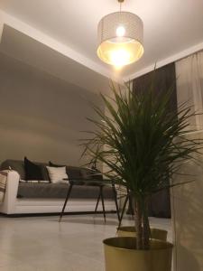 Casa vacanze Circle House Santa Filomena