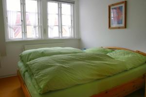 Ferienwohnungen und Haushälfte Friesland