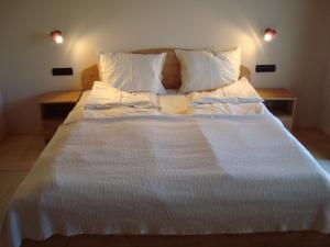 Pensiunea Sapte Flori