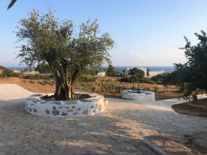 Katoikia, Cycladic house near Lolantonis beach Paros Greece