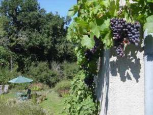 Maisons de vacances Chez Tartaud : photos des chambres