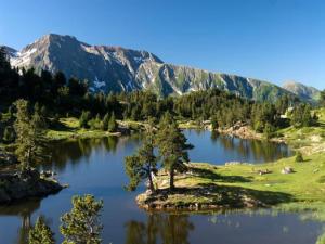 Appartements Charmant studio cabine COSY a 100 m des pistes : photos des chambres