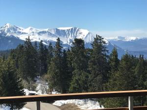 Appartements Charmant studio cabine COSY a 100 m des pistes : photos des chambres