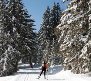 Appartements Charmant studio cabine COSY a 100 m des pistes : photos des chambres