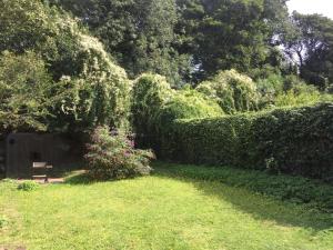 Budget Double Room room in Golden Triangle House