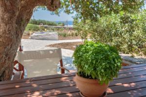 Katoikia, Cycladic house near Lolantonis beach Paros Greece