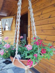 Appartement Königslehen