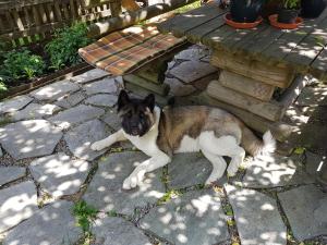 Appartement Königslehen