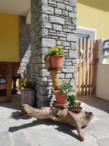 Appartement Königslehen