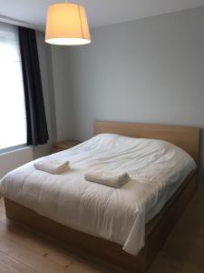 SPACIOUS HOUSE with GARDEN close to BRUSSELS EXPO!