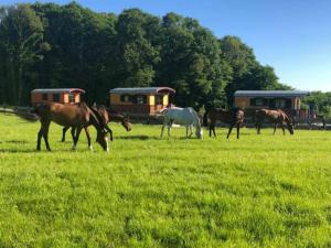 Maisons de vacances Le Hameau des Grilles : Roulotte 