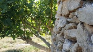 Agriturismo Tenuta La Siesta