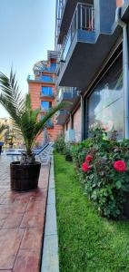 апартамент CACAO RESIDENCE