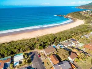 Myley's Flat - Forster