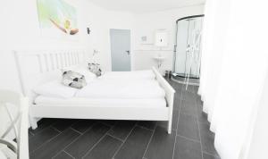 Double Room 1st Floor with Shared WC and Private Shower and Kitchen room in Berger Zentrum