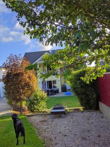 Apartma Gro&szlig;e Sch&ouml;nheit mit Panoramablick Euskirchen Nemčija