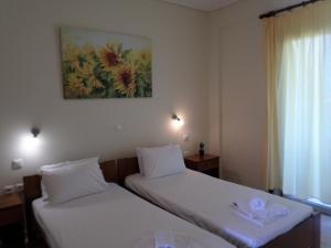 Asfodelos Apartment Hotel Ilia Greece