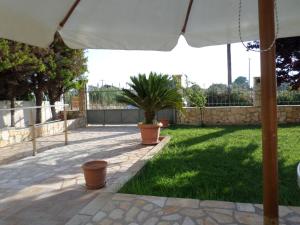 Asfodelos Apartment Hotel Ilia Greece